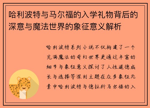 哈利波特与马尔福的入学礼物背后的深意与魔法世界的象征意义解析